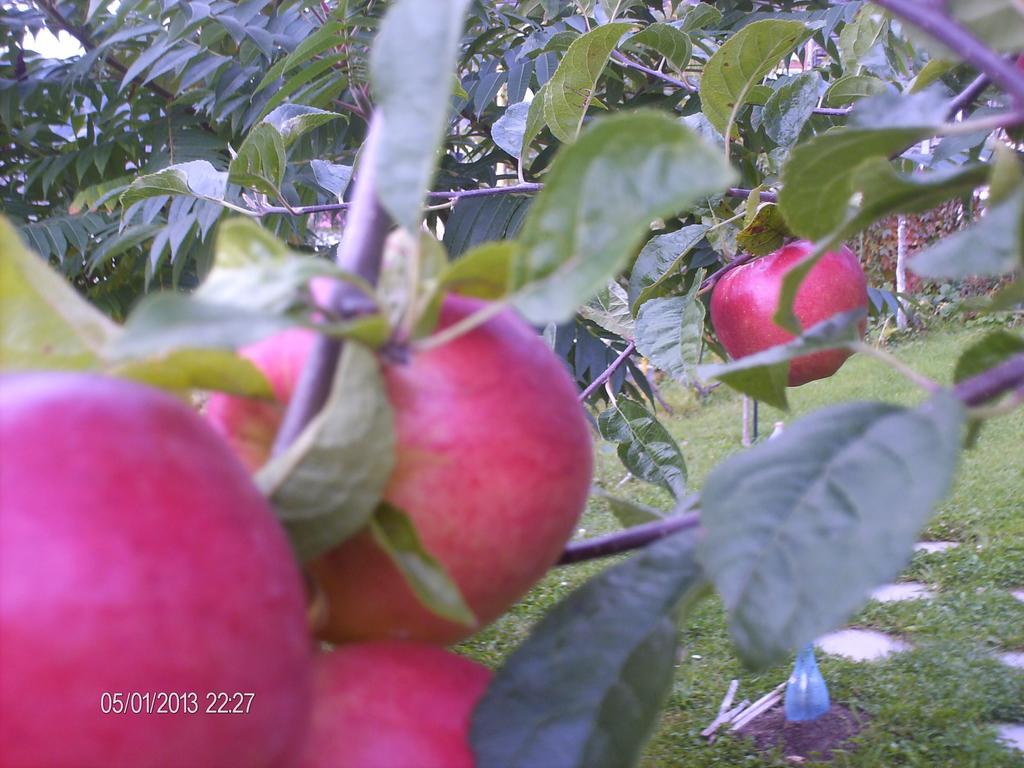 Pension Cote D'Amour Моечу-де-Жос Экстерьер фото