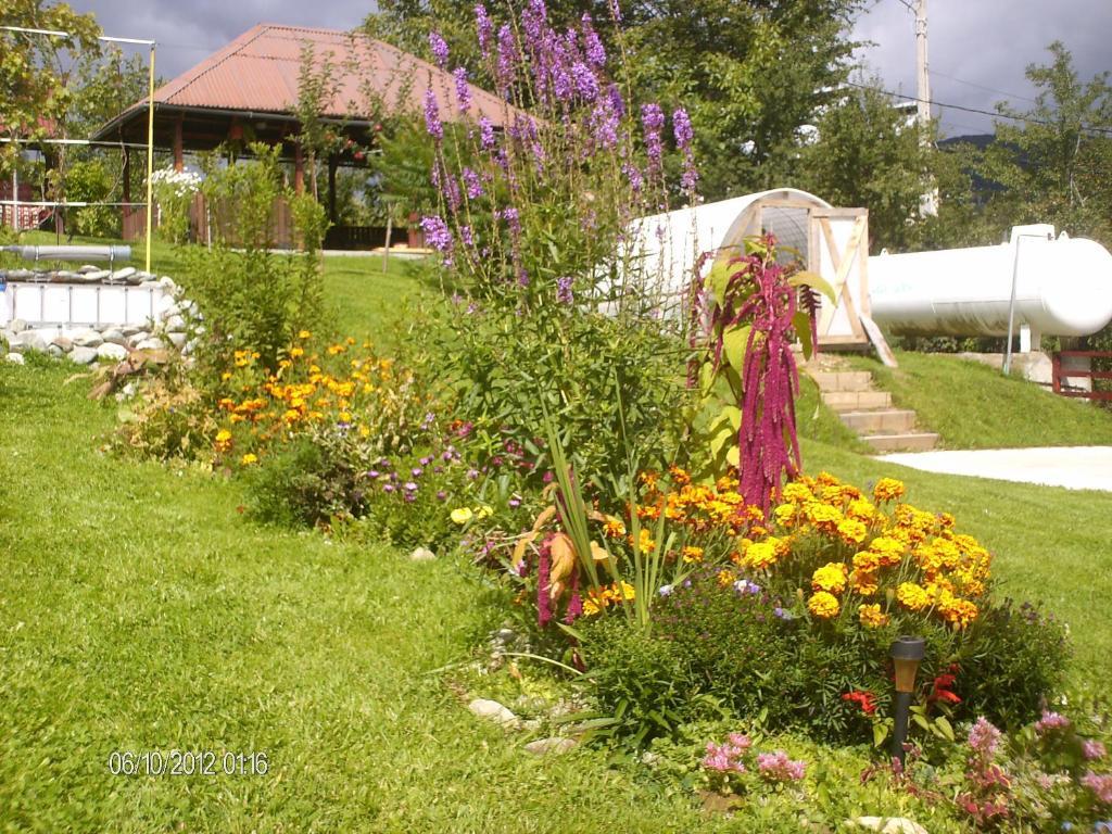 Pension Cote D'Amour Моечу-де-Жос Экстерьер фото